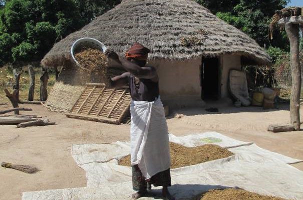 Village en Guinée, ©Gret